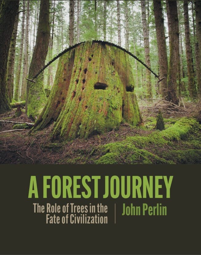A Forest Journey: The Role of Trees in the Fate of Civilization