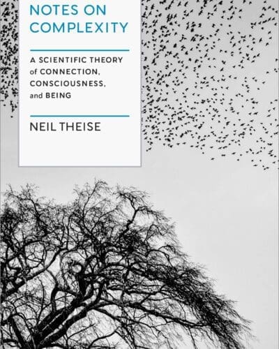 Notes on Complexity: A Scientific Theory of Connection, Consciousness, and Being