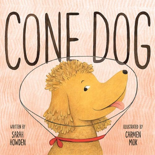 Cone Dog