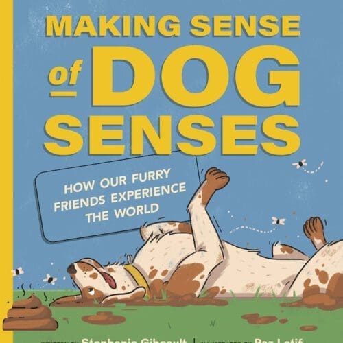 Making Sense of Dog Senses