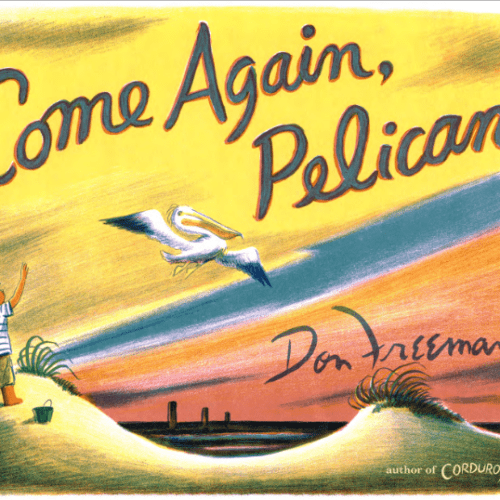 Come Again, Pelican
