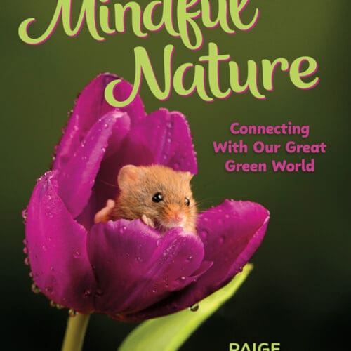 Mindful Nature: Connecting With Our Great Green World