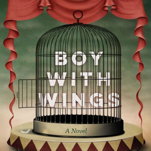 Boy With Wings