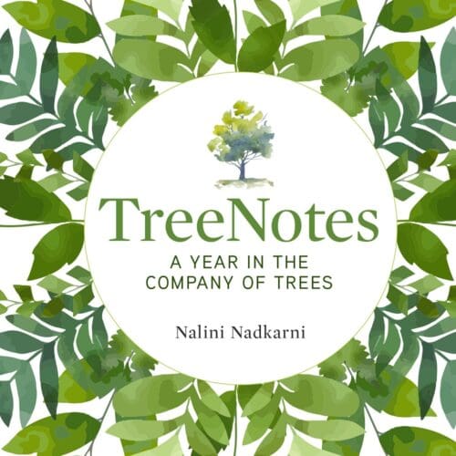 TreeNotes: A Year in the Company of Trees