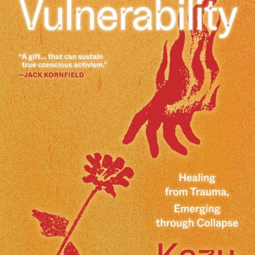 Fierce Vulnerability: Healing from Trauma, Emerging through Collapse