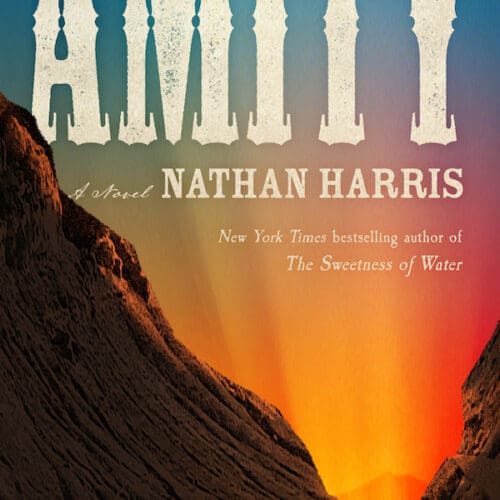 Amity: A Novel