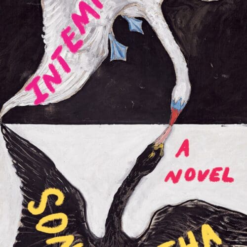 Intemperance: A Novel