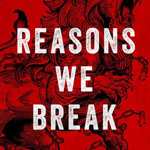 Reasons We Break