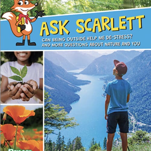 Ask Scarlett