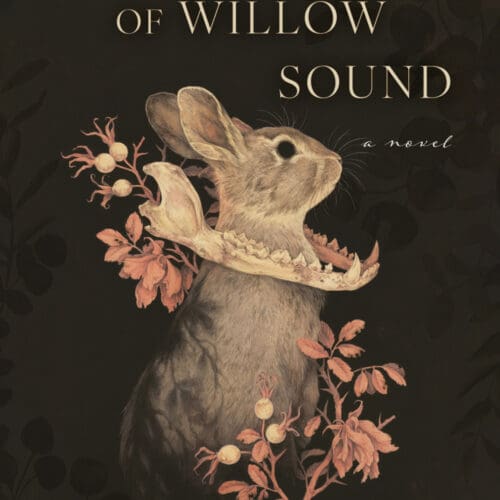 The Witch of Willow Sound