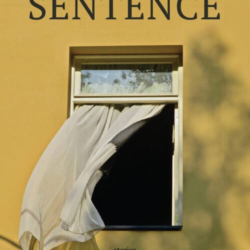 Sentence: Stories