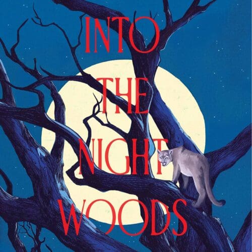 Into the Night Woods