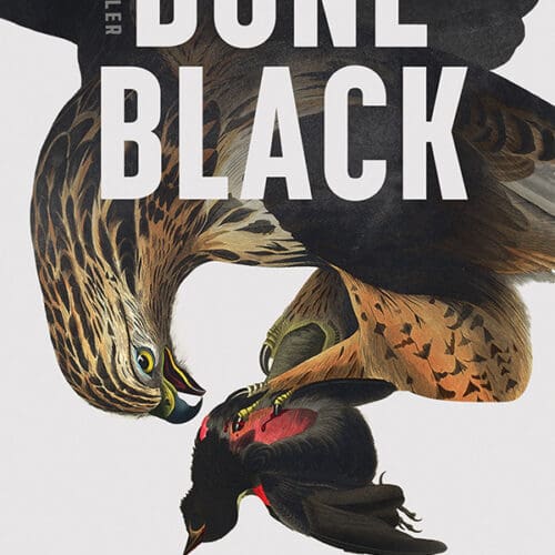 Bone Black