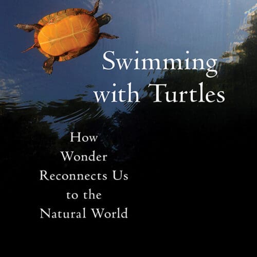 Swimming With Turtles: How Wonder Reconnects Us to the Natural World
